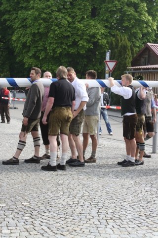 Maibaum 2013